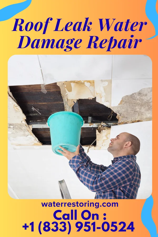 Roof Leak Water Damage Repair in Brookville, IN