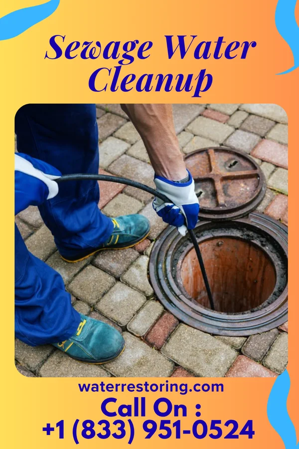 Sewage Water Cleanup in Brookville, IN