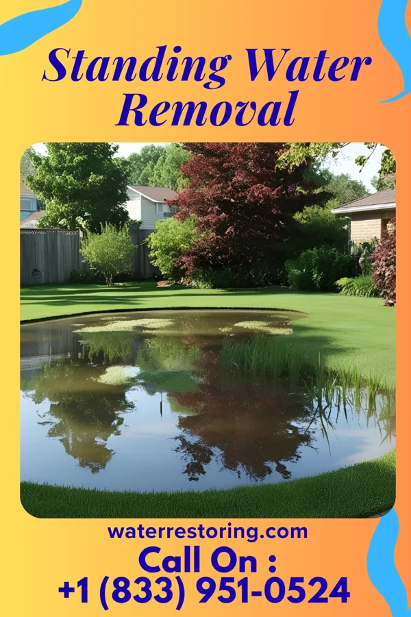 Standing Water Removal in Brookville, IN